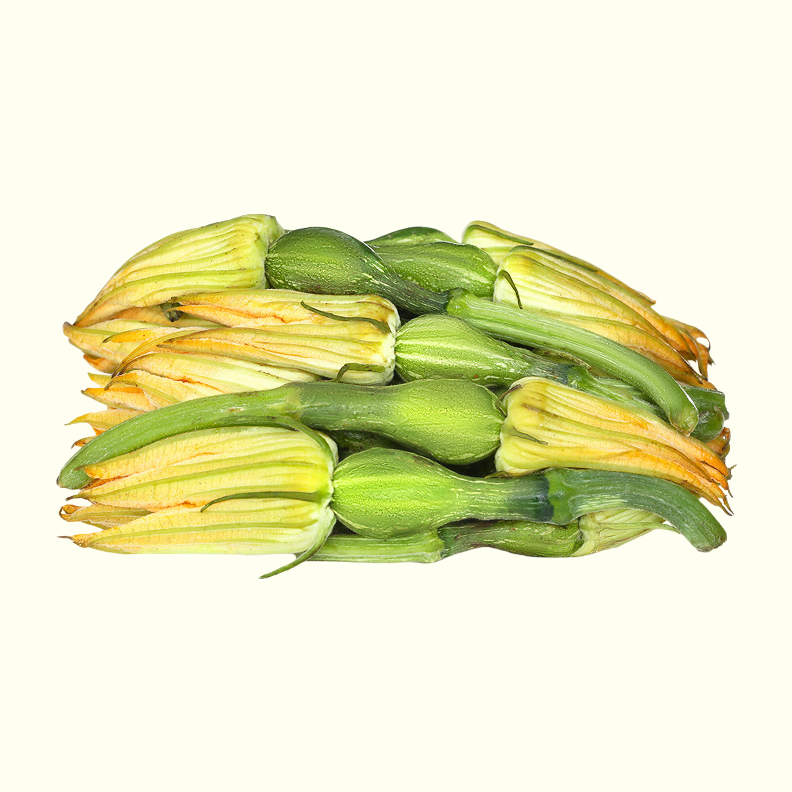 Bí Nụ