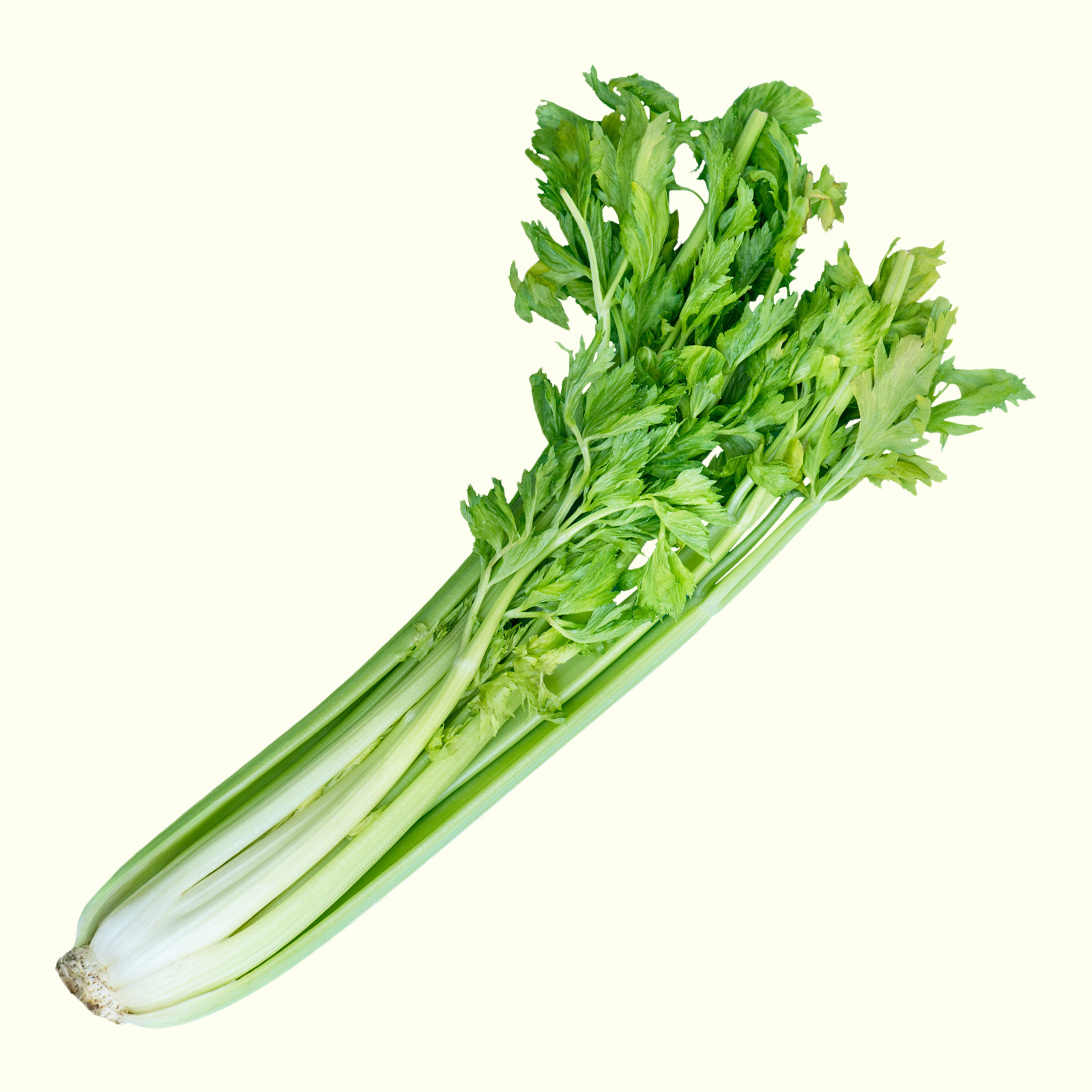 Cần Tây