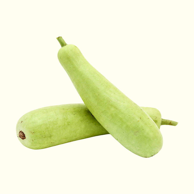 Bầu