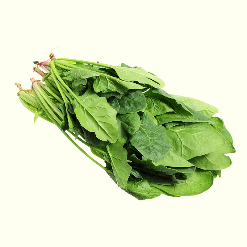 Cải Bó Xôi